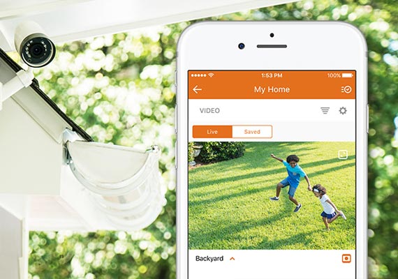 live security footage of backyard on smartphone